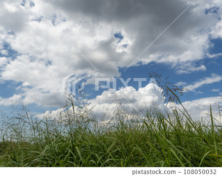 從河床仰望的堤防植物和天空的背景材料 108050032