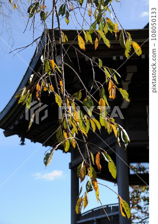 Kyoto Mountain Autumn 108050133