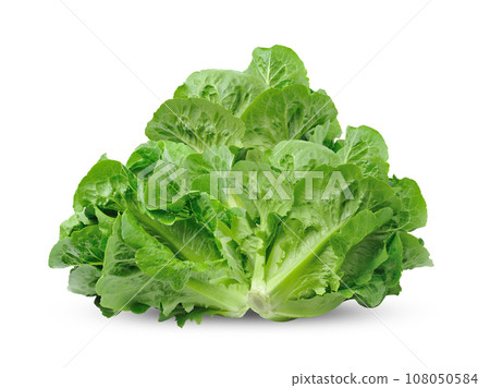 carrot isolated on white background carrot isolated on white background 108050584