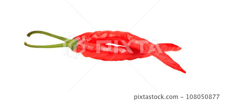 Chili pepper isolated on a white background Chili pepper isolated on a white background 108050877