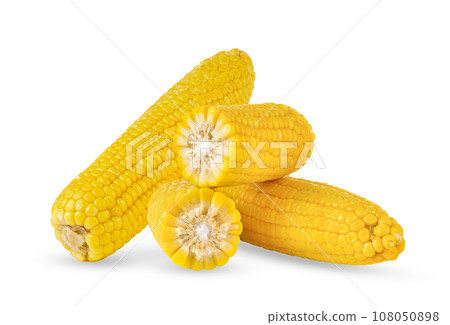 corn isolated on white background corn isolated on white background 108050898