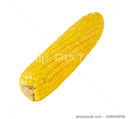 corn isolated on white background 108050899