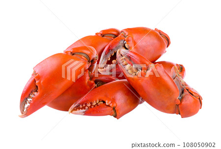 Boiled crab claws isolated on white background Boiled crab claws isolated on white background 108050902