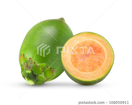 Fresh betel nut isolated on white background Fresh betel nut isolated on white background 108050911