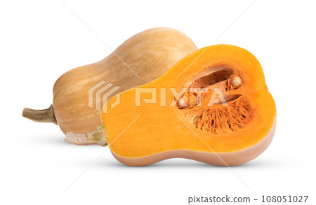 Fresh butternut isolated on a white background Fresh butternut isolated on a white background 108051027