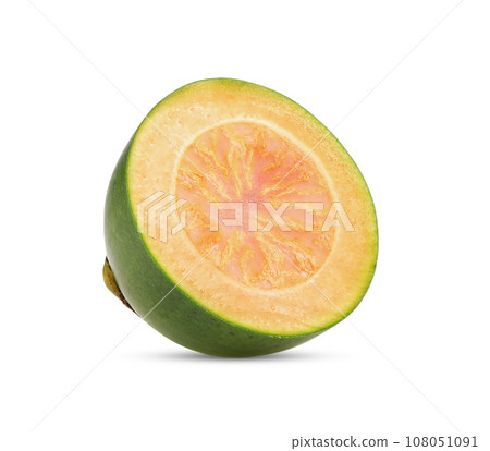 Fresh betel nut isolated on white Fresh betel nut isolated on white 108051091