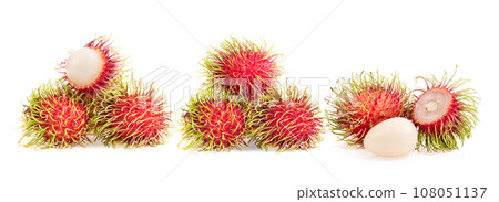 rambutan fruits on white background rambutan fruits on white background 108051137