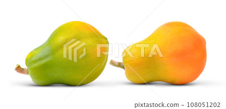 papaya on white background papaya on white background 108051202
