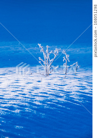 Winter/Scenery 108051298