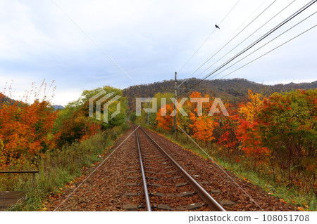 Autumn leaves Sekisho Line-2 108051708