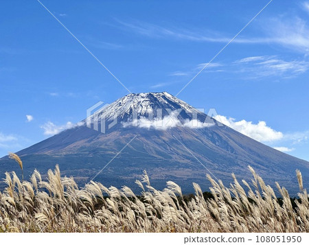 Autumn scenery of swaying pampas grass and Mt. Fuji Autumn scenery of swaying pampas grass and Mt. Fuji 108051950