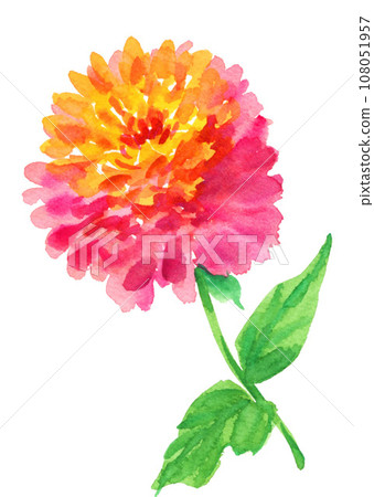Zinnia 231023pix7 Zinnia 231023pix7 108051957