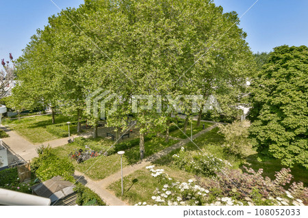 an aerial view from the top of a tree in front of a house with lots of white flowers and green trees 108052033