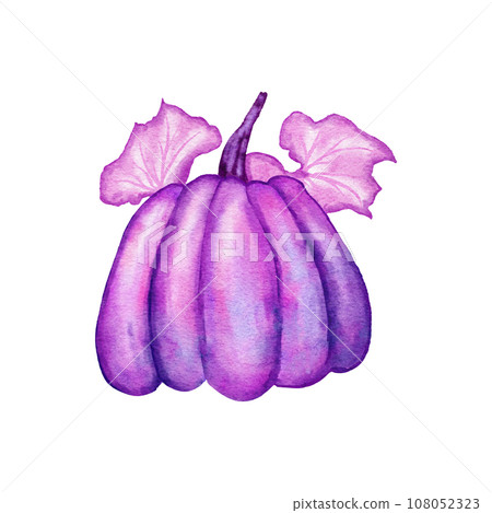 Hand drawn illustration of purple pumpkin with leaves. Halloween autumn fall harvest design, lilac lavender vegetable print with mystic magic vibe, unusual thanksgiving art for cards banners posters Hand drawn illustration of purple pumpkin with leaves. Halloween autumn fall harvest design, lilac lavender vegetable print with mystic magic vibe, unusual thanksgiving art for cards banners posters 108052323