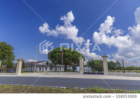 Typical vineyards near Chateau Dauzac, Margaux, Medoc, Bordeaux, Aquitaine, France 108053089