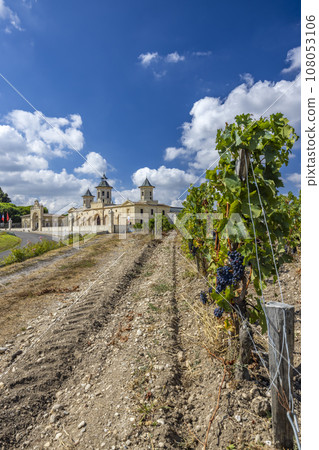 Vineyards with Chateau Cos d'Estournel, Bordeaux, Aquitaine, France 108053106