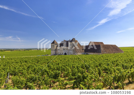 Typical vineyards near Clos de Vougeot, Cote de Nuits, Burgundy, France 108053198