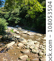 Mountain stream shining in the fresh green 108053504