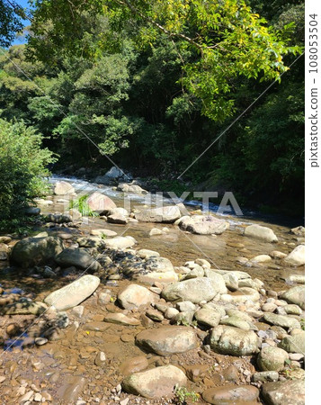 Mountain stream shining in the fresh green 108053504