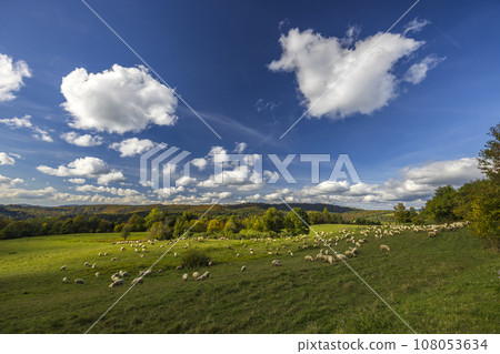 Autumn landscape in Mala Fatra mountains, Slovakia 108053634
