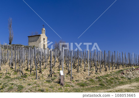 Grand cru vineyard and Chapel of Saint Christopher, Tain l'Hermitage, Rhone-Alpes, France 108053665