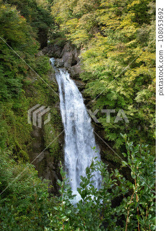 我是宮城縣仙台市的秋保大瀧。 108053692