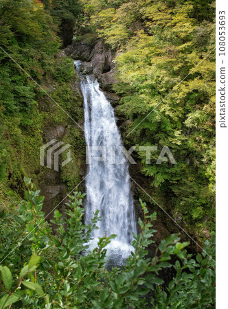 我是宮城縣仙台市的秋保大瀧。 108053693