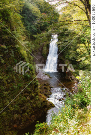 我是宮城縣仙台市的秋保大瀧。 我是宮城縣仙台市的秋保大瀧。 108053696