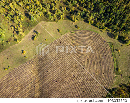 Directly above drone shot of hay bales on agricultural field in Altai Republic, Siberia, Russia 108053750