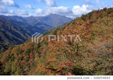 秋葉和三峰山脈（德島縣四國） 108054693