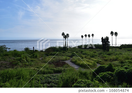 View near Boso Flower Line and Washiwa Rock View near Boso Flower Line and Washiwa Rock 108054874