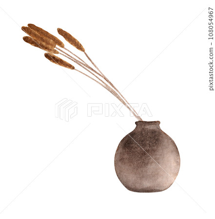 Dried flower decorate in vase. Watercolor illustration. 108054967