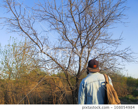 A man from behind in a cap and jeans looks at a tree on his head in the light of the evening sun A man from behind in a cap and jeans looks at a tree on his head in the light of the evening sun 108054984