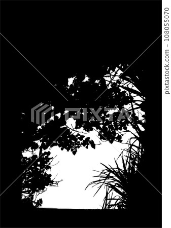 Beautiful tropical plants frame silhouette Beautiful tropical plants frame silhouette 108055070