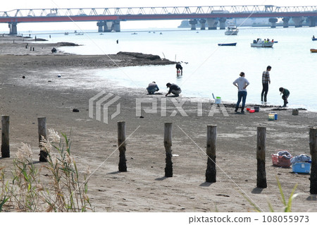 People playing on the tidal flats that appear at low tide (Edogawa) People playing on the tidal flats that appear at low tide (Edogawa) 108055973