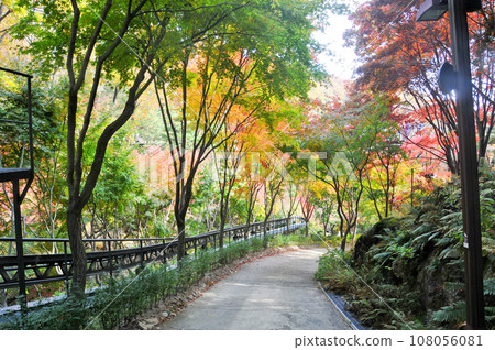 Metal stairsteps to Red Orange maple leaves trees in deep forest with beautiful colourful Autumn foliage trees scenery. Metal stairsteps to Red Orange maple leaves trees in deep forest with beautiful colourful Autumn foliage trees scenery. 108056081
