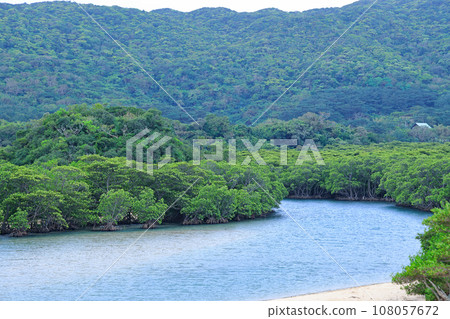 Ishigaki Island, Fukidori River Mangrove District Ishigaki Island, Fukidori River Mangrove District 108057672