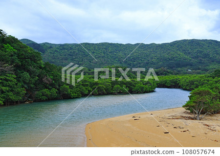 Ishigaki Island, Fukidori River Mangrove District Ishigaki Island, Fukidori River Mangrove District 108057674