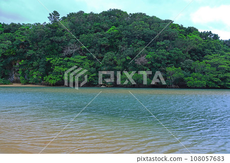 Ishigaki Island, Fukidori River Mangrove District Ishigaki Island, Fukidori River Mangrove District 108057683