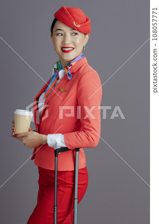 asian female flight attendant looking aside isolated on gray 108057771