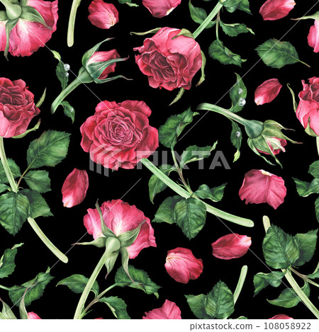 Seamless pattern with pink roses. Watercolor botanical illustration. Isolated on a black background.Hand drawn flower, leaves and petals.For the design of wrapping paper, fabrics, notepads, notebooks 108058922