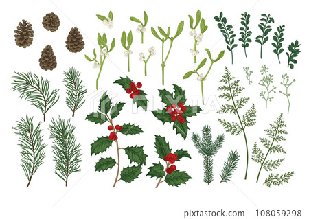 Set of Christmas plants. Vintage botanical illustration. Spruce, pine, holly, fern, eucalyptus seeds, boxwood. Colorful. 108059298