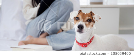 Closeup young asian woman sitting using on digital tablet computer to internet online with dog. 108059400