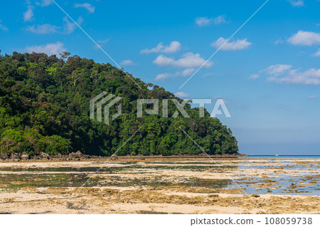 Living coral reef during low tide in Mai Ngam beach, Surin island national park, Pang Nga, Thailand 108059738