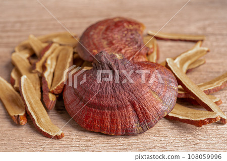 Dried lingzhi mushroom with capsule drug, alternative medicine herbal organic herb. 108059996