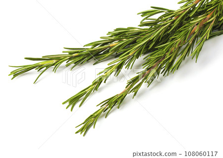 Rosemary sprigs Rosemary sprigs 108060117