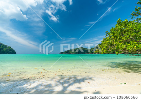 Beautiful Mai ngam bay in Koh Surin national park, the famous free driving spot in Pang Nga, Thailand. 108060566