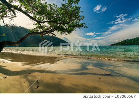 Beautiful Mai ngam beach in Koh Surin national park, the famous free driving spot in Pang Nga, Thailand Beautiful Mai ngam beach in Koh Surin national park, the famous free driving spot in Pang Nga, Thailand 108060567