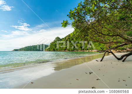 Beautiful Mai ngam beach in Koh Surin national park, the famous free driving spot in Pang Nga, Thailand. 108060568