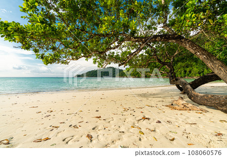 Beautiful Mai ngam beach in Koh Surin national park, the famous free driving spot in Pang Nga, Thailand. Beautiful Mai ngam beach in Koh Surin national park, the famous free driving spot in Pang Nga, Thailand. 108060576